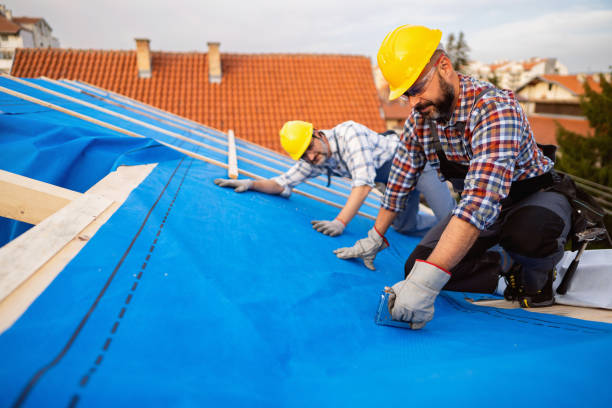 Best Roof Waterproofing Services  in Bridgman, MI