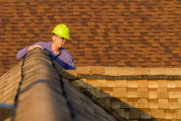 Best Residential Roof Replacement  in Bridgman, MI