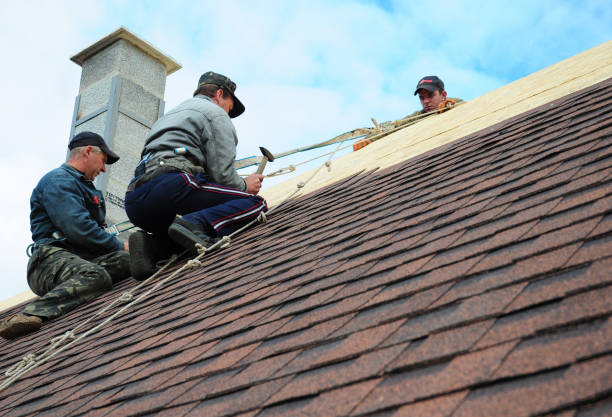 Best Commercial Roofing Services  in Bridgman, MI