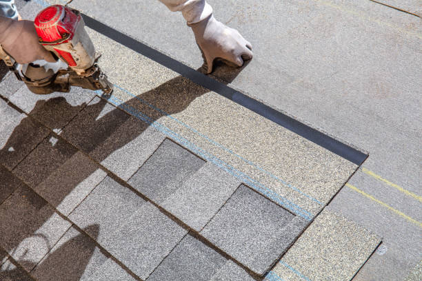 Best Flat Roof Repair Services  in Bridgman, MI