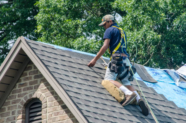 Best Local Roofing Companies  in Bridgman, MI